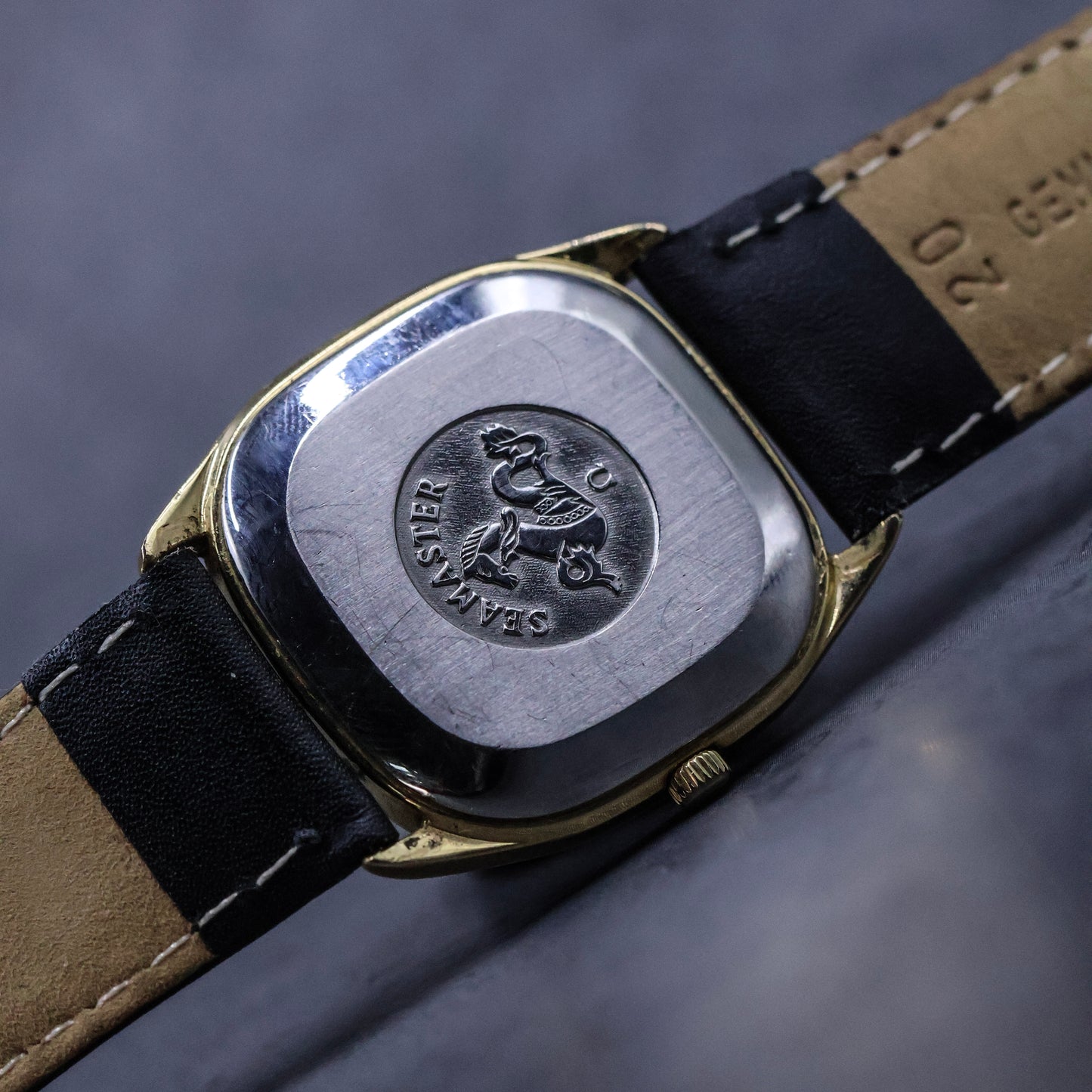 Omega Seamaster Stardust
