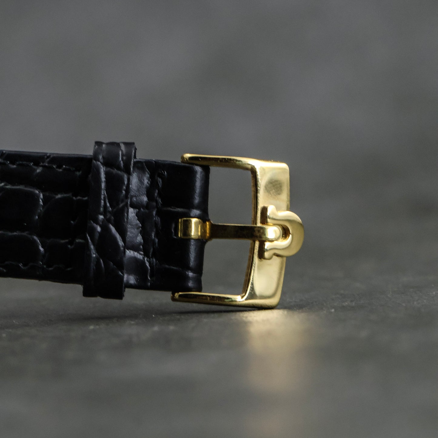 Omega Seamaster Textured
