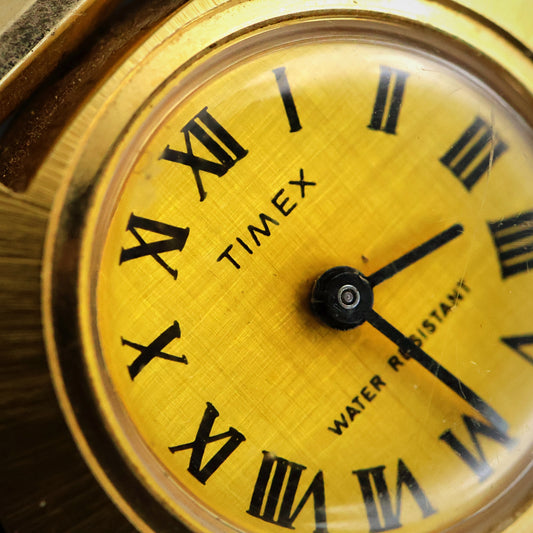 Timex Gold Roman Numeral with Olive Leather