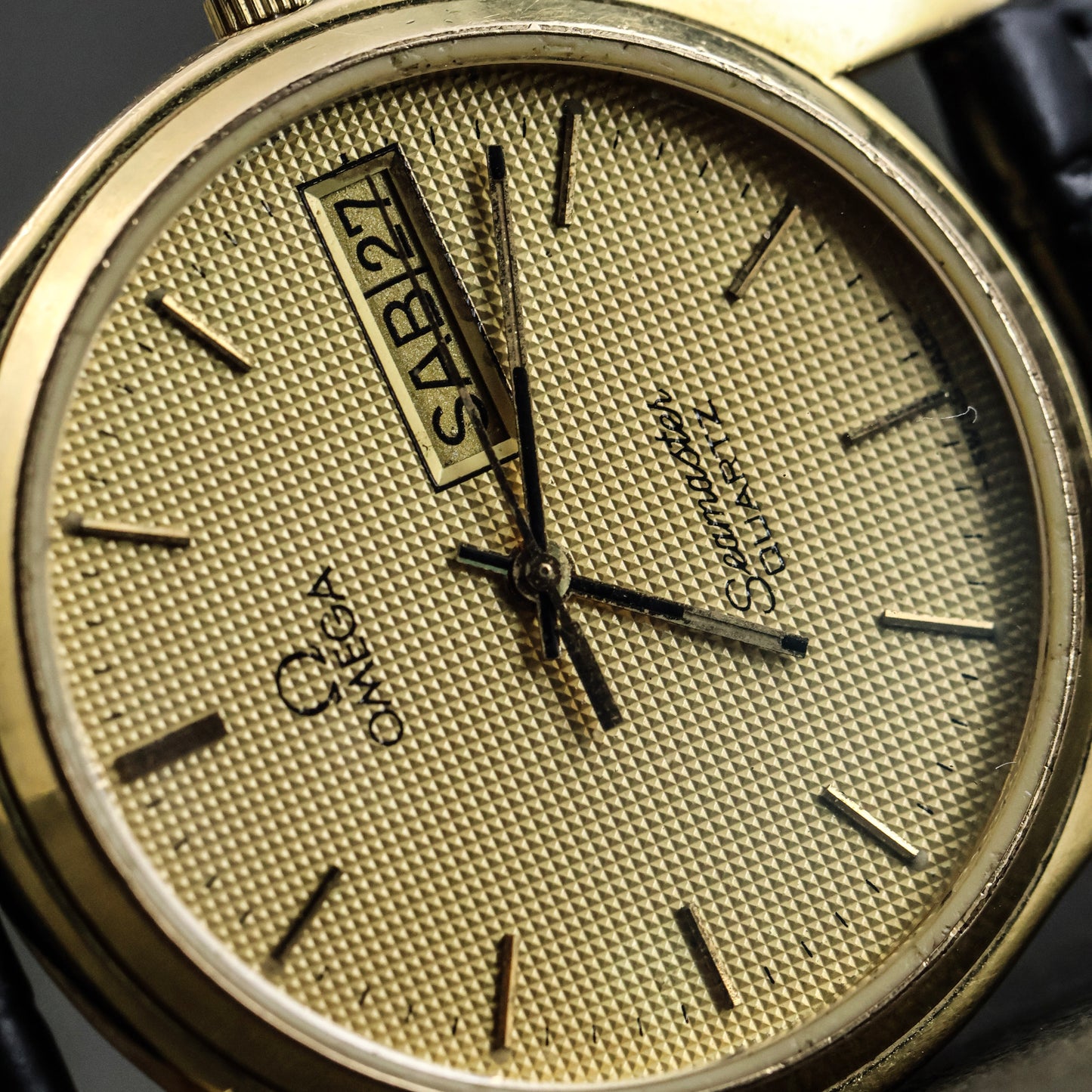 Omega Seamaster Textured
