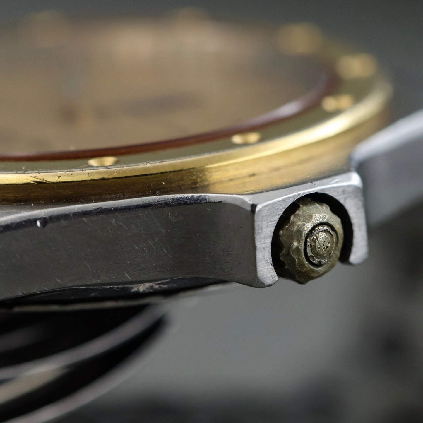 Omega Seamaster Alveoles