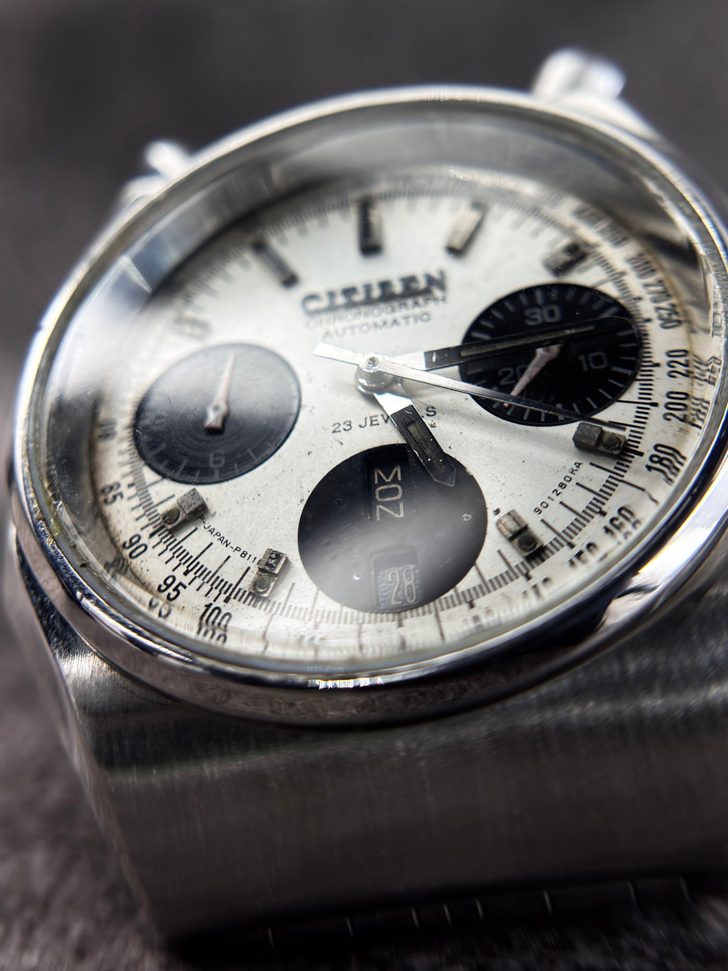 Citizen Bullhead Chronograph Panda