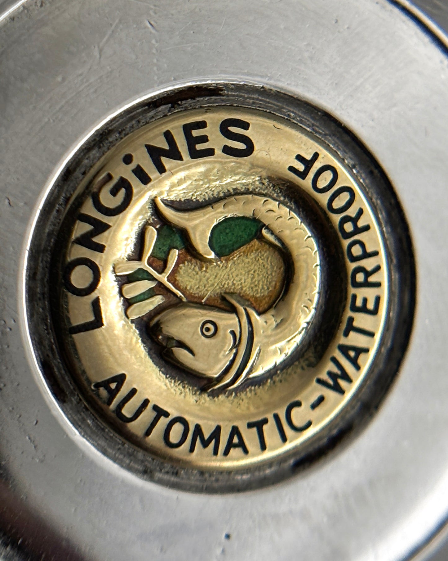 Longines Conquest | Gold Dial