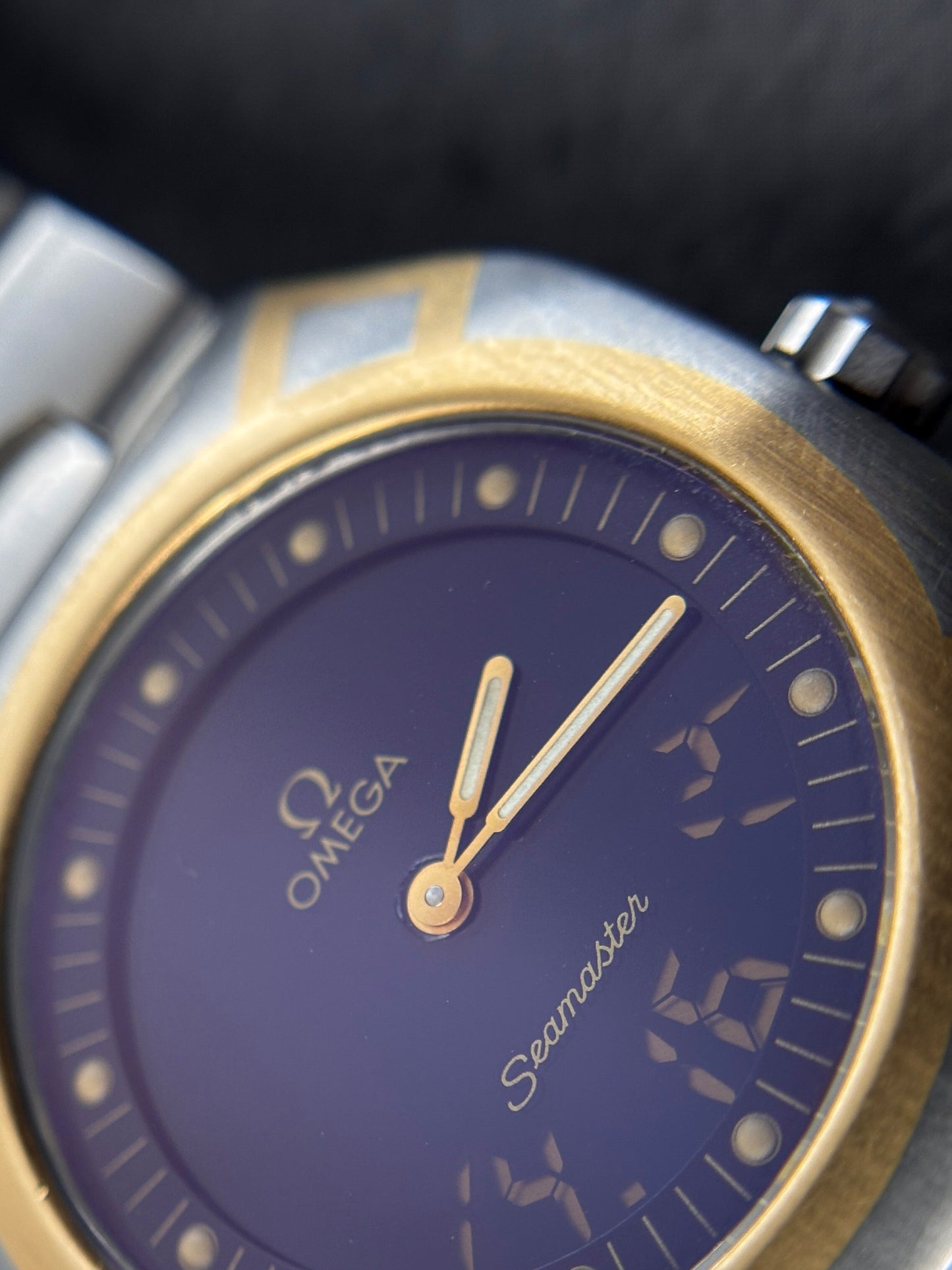 Omega Seamaster Polaris