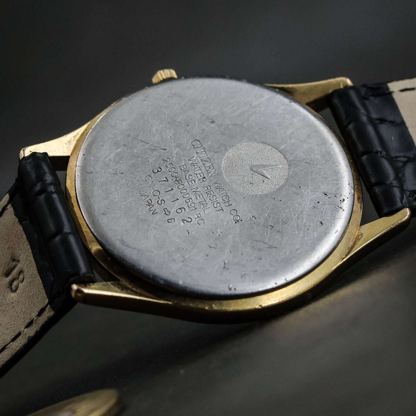 Omega Seamaster Textured