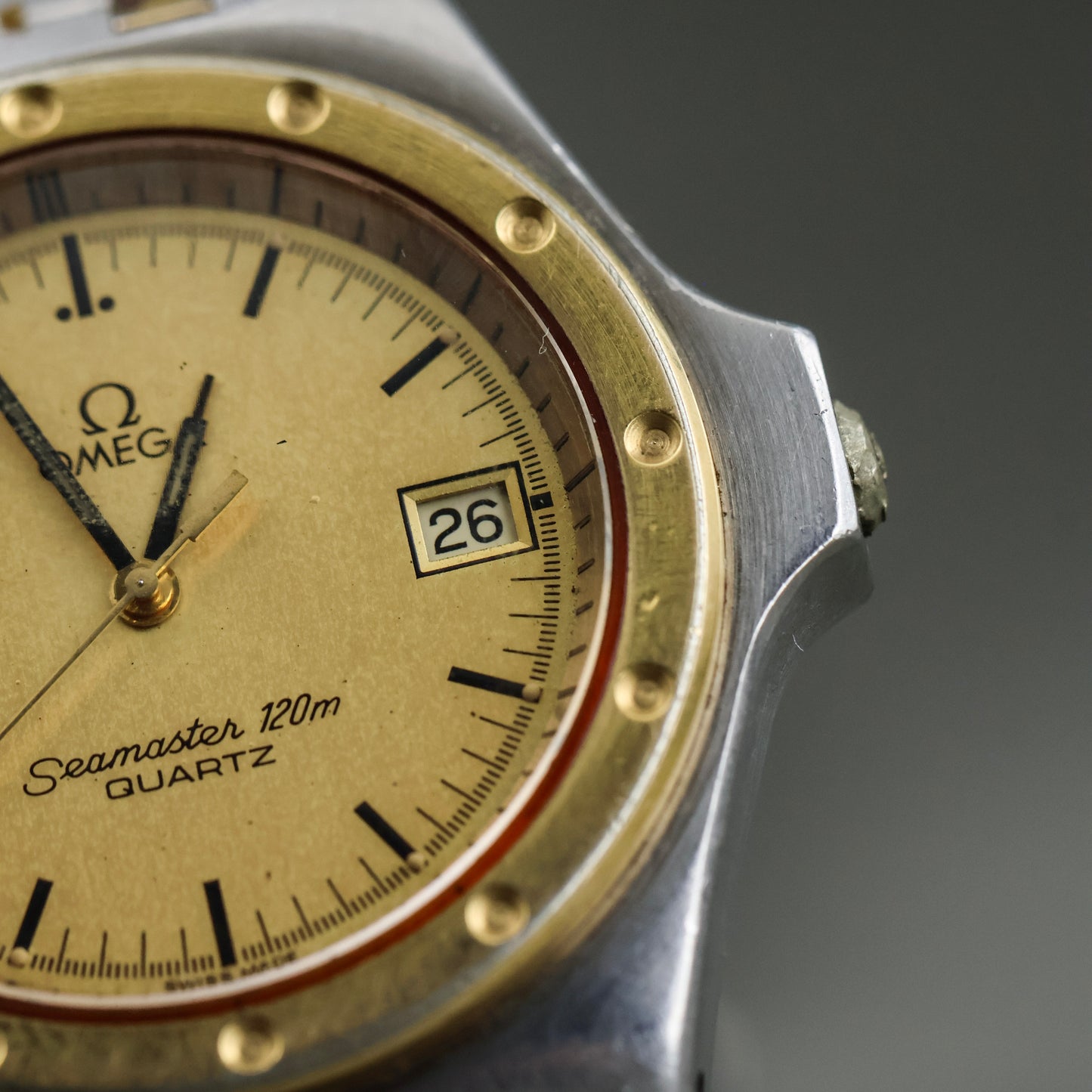 Omega Seamaster Alveoles