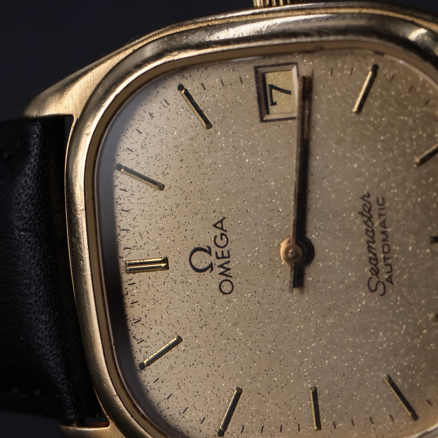 Omega Seamaster Stardust