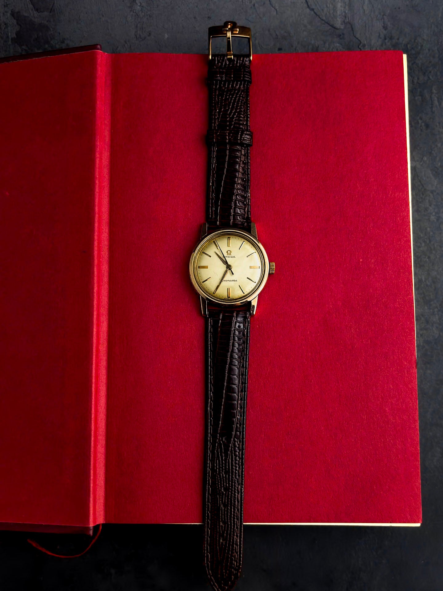Omega Seamaster | 14K Gold Top