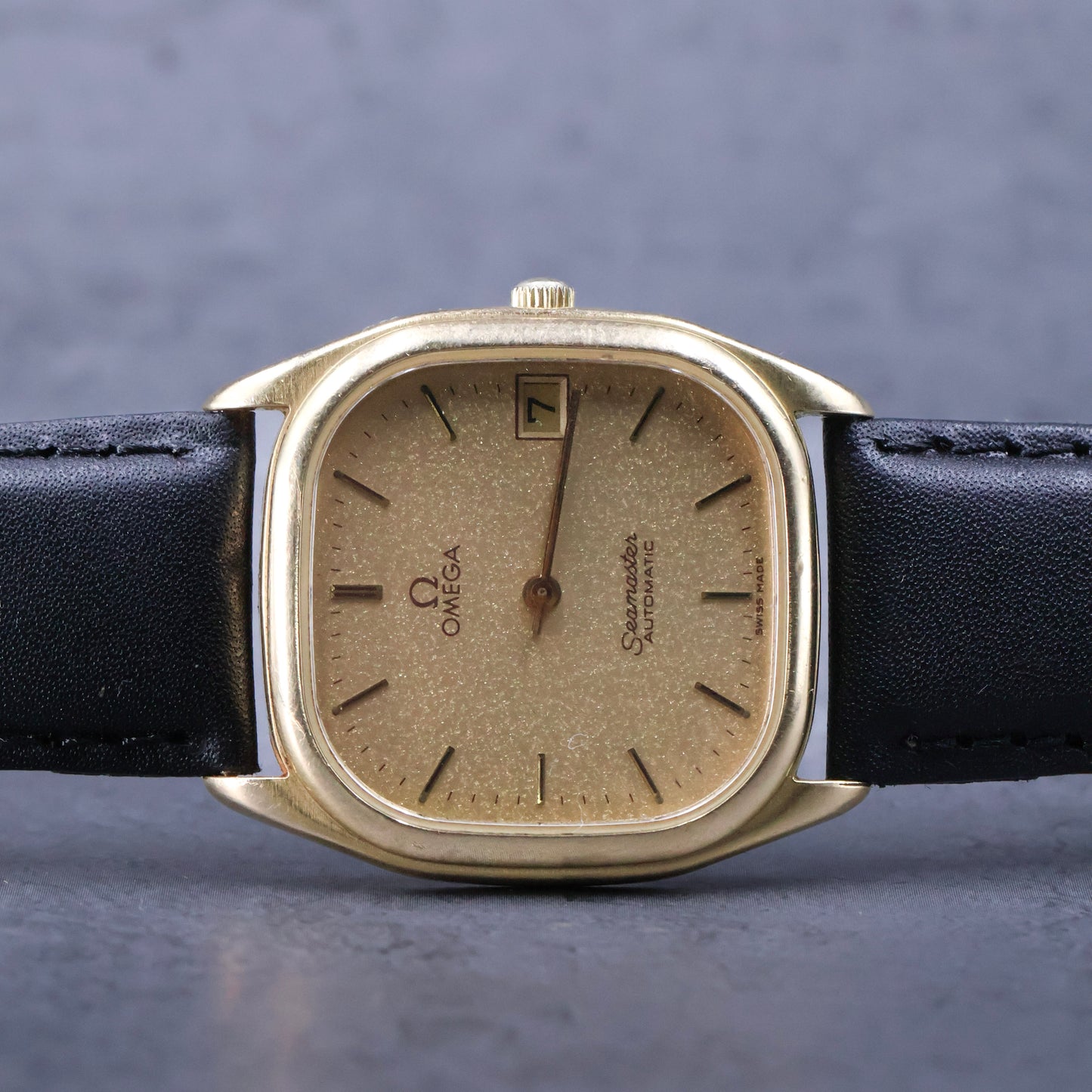 Omega Seamaster Stardust