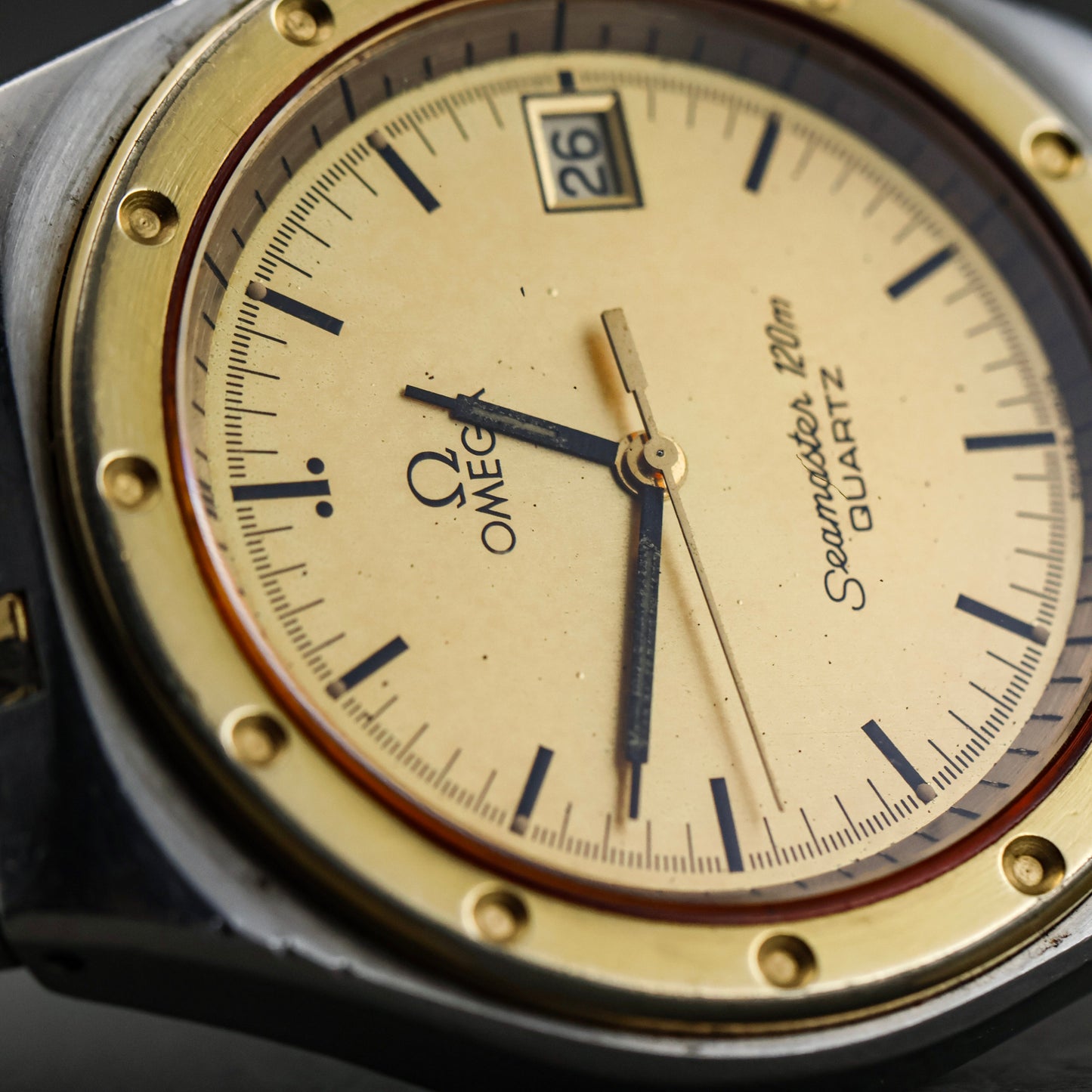 Omega Seamaster Alveoles