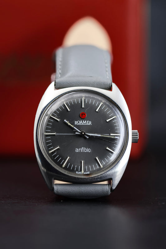 Roamer Anfibio