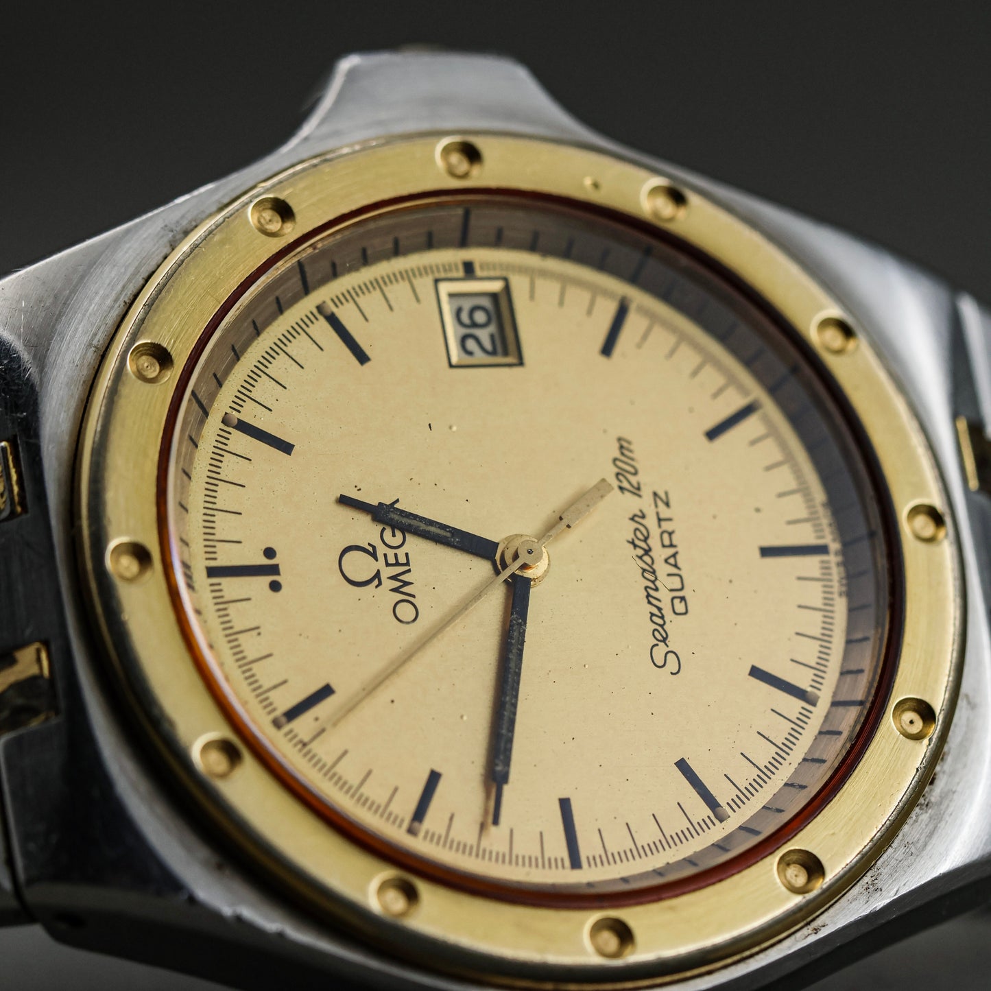 Omega Seamaster Alveoles