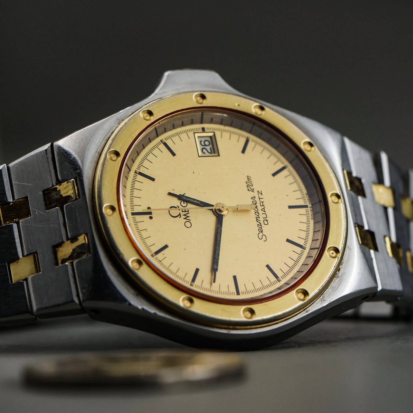 Omega Seamaster Alveoles