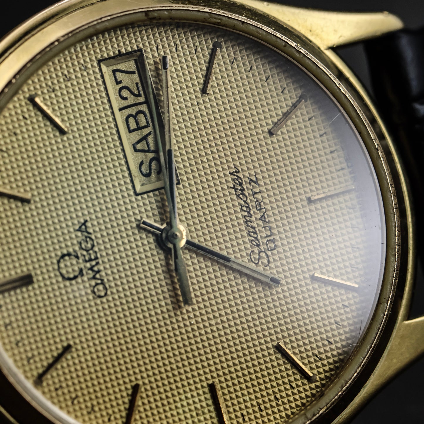 Omega Seamaster Textured