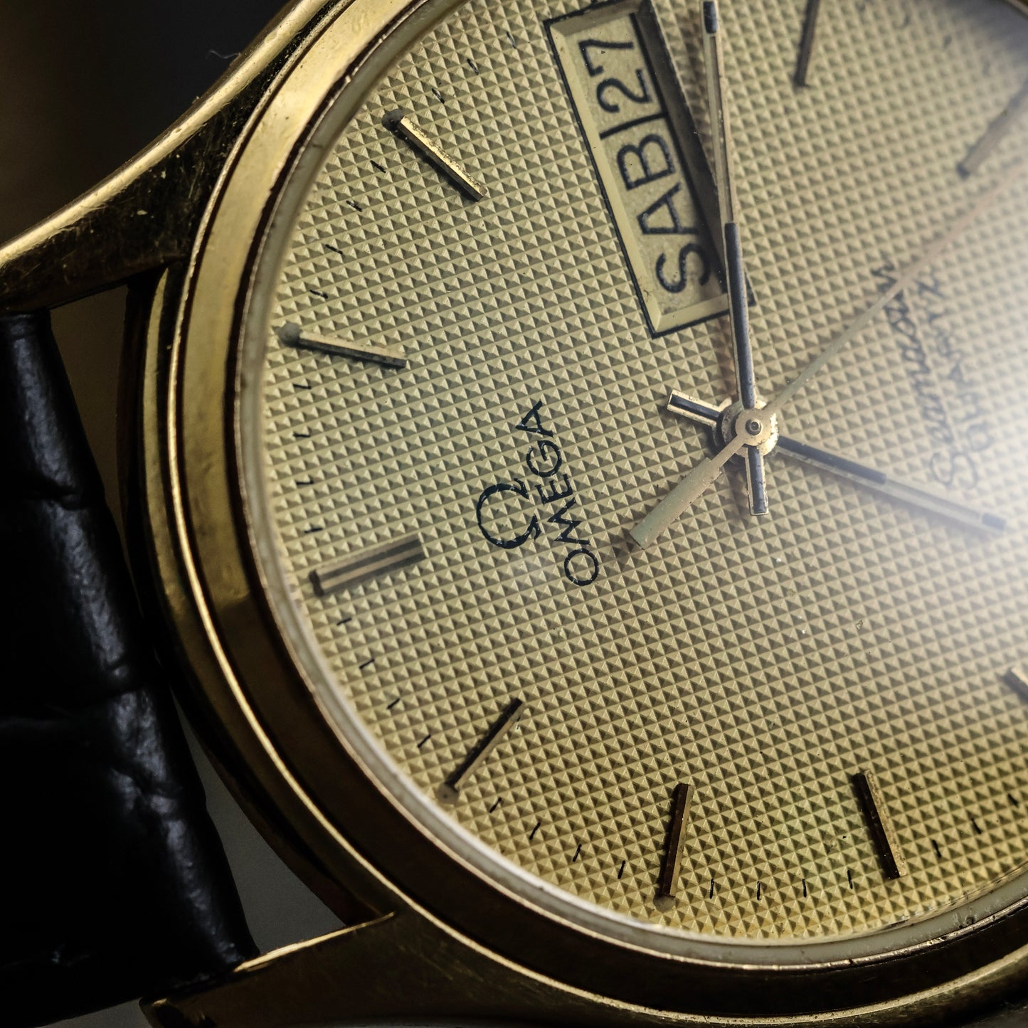 Omega Seamaster Textured