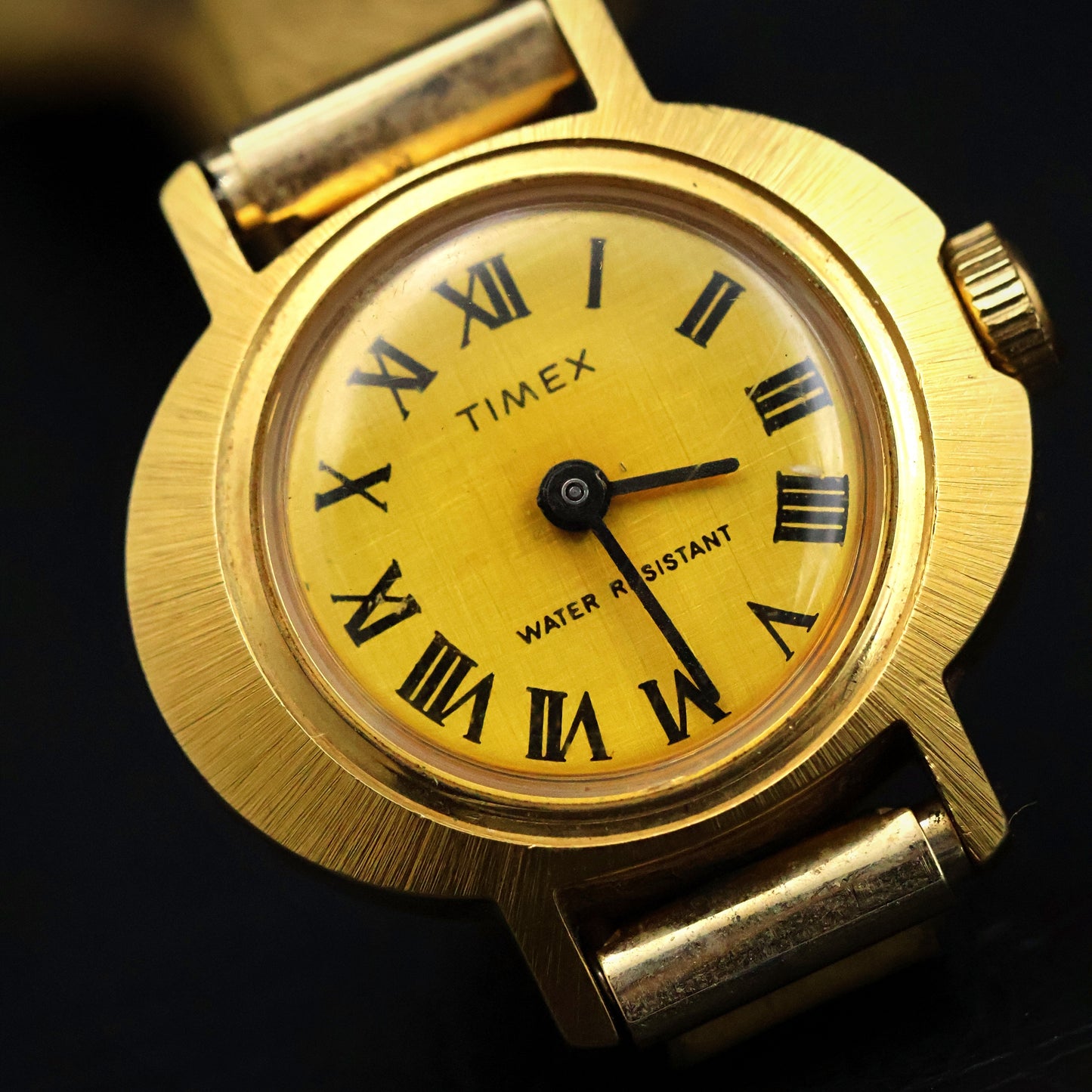 Timex Gold Roman Numeral with Olive Leather